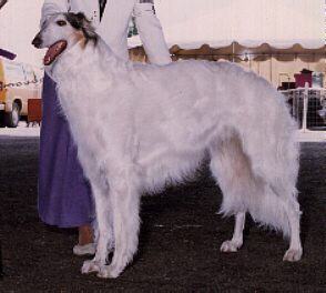 Apollo