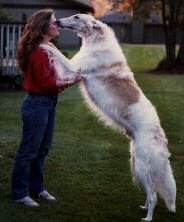 Small woman, big dog
